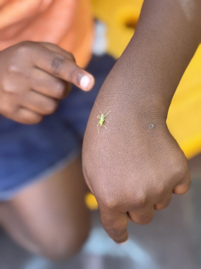 Child points at a small green grasshopper.